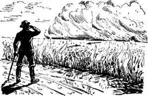 Рис 41Тушение степного пожара встречным огнем Теперь история о борьбе людей - фото 72