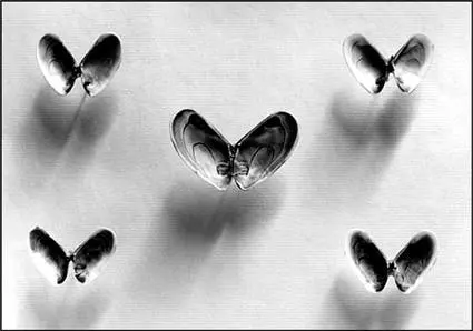 Рис 59Нестандартный взгляд на мир мадридского фотохудожника Чемы Мадоза - фото 102
