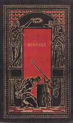 Даниил Мордовцев - Кочубей