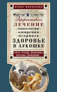 Ирина Филиппова Здоровье в лукошке. Эффективное лечение онкологии, ожирения, псориаза. Чага, груздь, волнушка, веселка, дождевик… обложка книги