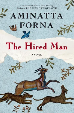 Aminatta Forna The Hired Man обложка книги