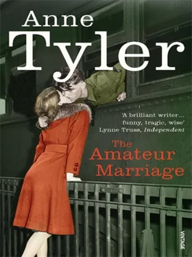 Anne Tyler The Amateur Marriage обложка книги