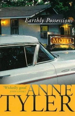 Anne Tyler Earthly Possessions обложка книги