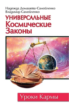 Владимир Самойленко Универсальные космические законы обложка книги