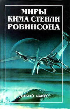 Ким Робинсон Дикий берег обложка книги