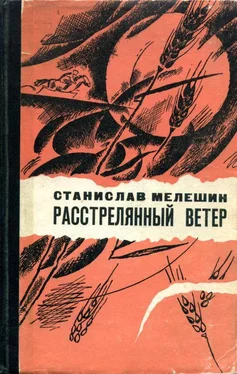 Станислав Мелешин Расстрелянный ветер обложка книги