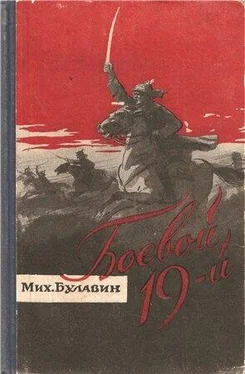 Михаил Булавин Боевой 19-й обложка книги