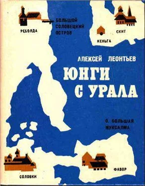 Алексей Леонтьев Юнги с Урала обложка книги