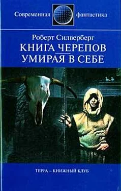 Роберт Силверберг Книга Черепов обложка книги