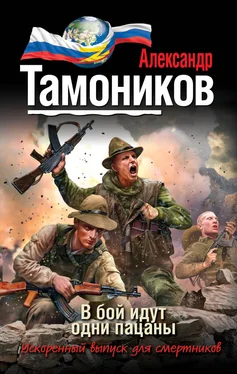 Александр Тамоников В бой идут одни пацаны обложка книги