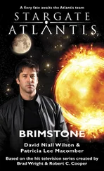 David Wilson - Brimstone