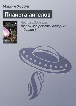 Максим Хорсун Планета ангелов обложка книги