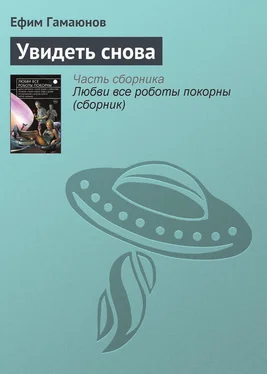 Ефим Гамаюнов Увидеть снова обложка книги