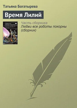 Татьяна Богатырева Время Лилий обложка книги