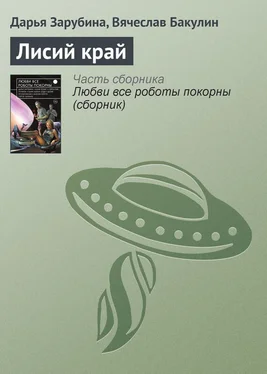 Вячеслав Бакулин Лисий край обложка книги