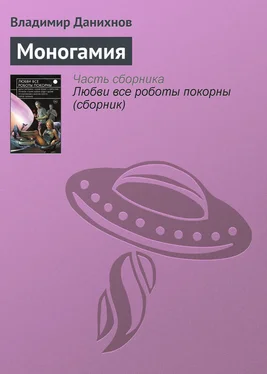 Владимир Данихнов Моногамия обложка книги