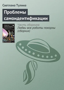 Светлана Тулина Проблемы самоидентификации обложка книги