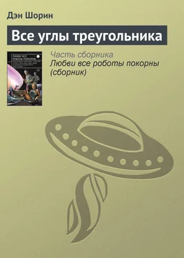 Дэн Шорин Все углы треугольника обложка книги