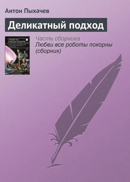 Антон Пыхачев Деликатный подход обложка книги