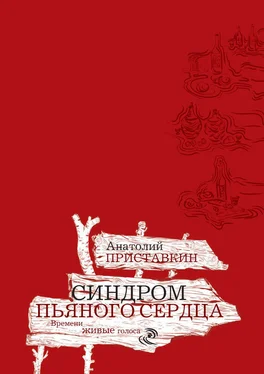 Анатолий Приставкин Синдром пьяного сердца (сборник) обложка книги