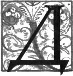 ОРОГА была утомительна Леонардо хороший ходок но и он начал уставать Он - фото 25