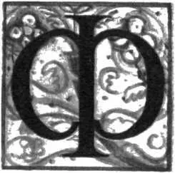 ЛОРЕНЦИЕЙ в эти годы правил некоронованный король Лоренцо Медичи - фото 28