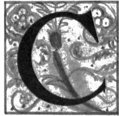 БОЛЬШИМ подъемом принялся Леонардо за выполнение заказа Лоренцо Медичи Ему - фото 32