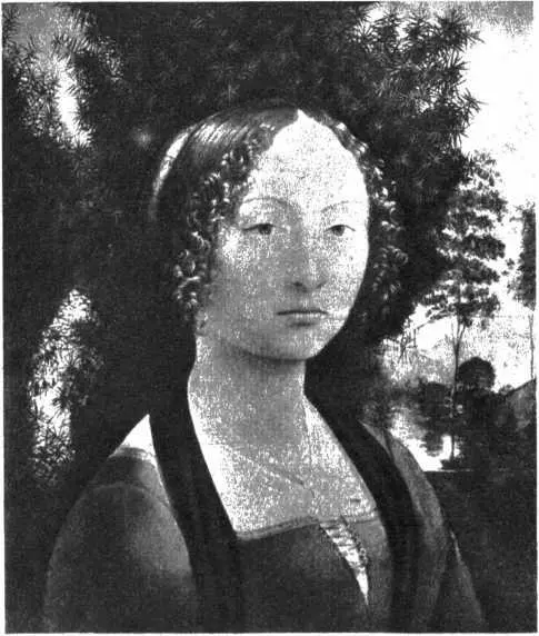 Леонардо да Винчи Портрет Джиневры де Бенчи В июле 1481 года монахи - фото 36