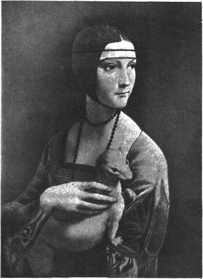 Леонардо да Винчи Портрет дамы с горностаем Цецилия Галлерани в любимый - фото 46