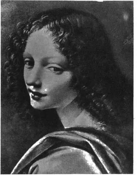 Мадонна в скалах Деталь Голова ангела она наблюдает за маленьким Иисусом - фото 51