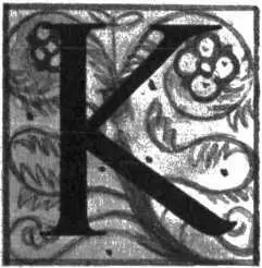 ОНЕЦ февраля 1505 года В этом году во Флоренции ранняя весна Теплый ветер с - фото 76