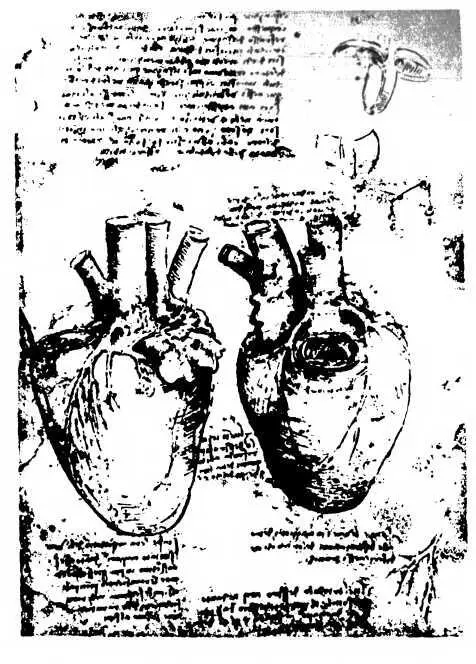 Леонардо да Винчи Сердце Рисунок 13 Леонардо да Винчи астро наконец - фото 87