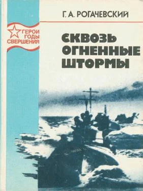 Георгий Рогачевский Сквозь огненные штормы обложка книги