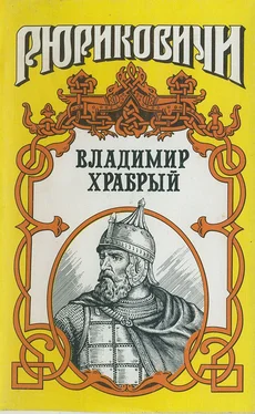 Владимир Афиногенов Витязь. Владимир Храбрый обложка книги