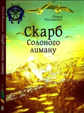 Олексій Огульчанський Скарб Солоного лиману обложка книги