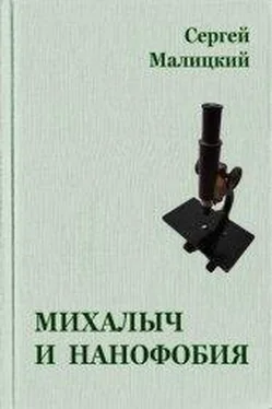 Сергей Малицкий Михалыч и нанофобия обложка книги