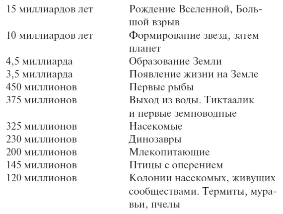 На схеме представители человеческого рода гуськом двигались вперед постепенно - фото 3