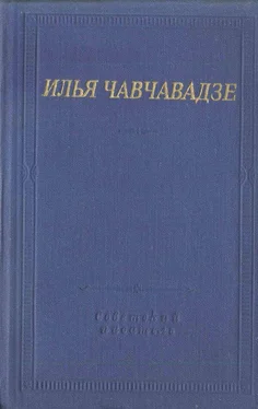 Илья Чавчавадзе Стихотворения и поэмы обложка книги