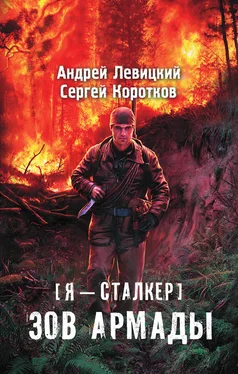 Андрей Левицкий Зов Армады обложка книги