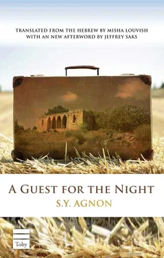 S. Agnon A Guest for the NIght обложка книги