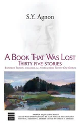 S. Agnon - A Book that Was Lost