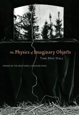 Tina Hal The Physics of Imaginary Objects обложка книги