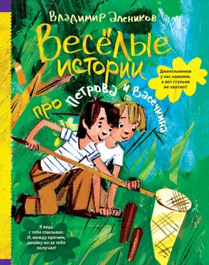 Владимир Алеников Веселые истории про Петрова и Васечкина обложка книги