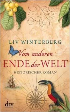 Liv Winterberg Vom anderen Ende der Welt обложка книги