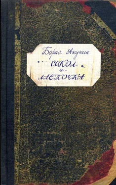 Борис Акунин Сокол и Ласточка обложка книги