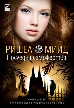 Ришел Мийд Последна саможертва обложка книги