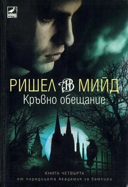 Ришел Мийд Кръвно обещание обложка книги