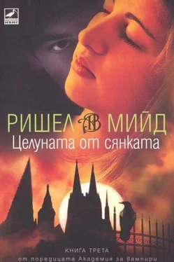 Ришел Мийд Целуната от сянката обложка книги