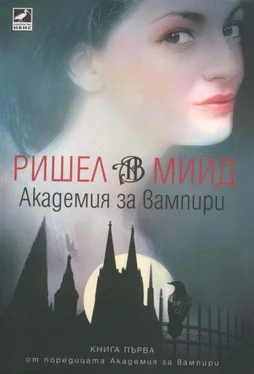 Ришел Мийд Академия за вампири обложка книги