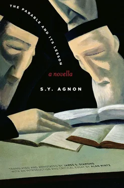 S. Agnon The Parable and Its Lesson: A Novella обложка книги